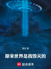 原来世界是我毁灭的