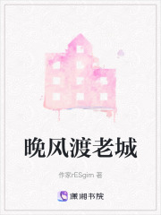 晚风渡老城在线阅读