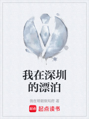 我在深圳的漂泊在线阅读