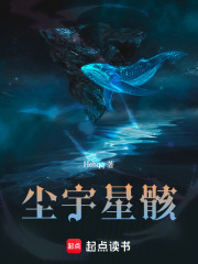 尘宇星骸在线阅读