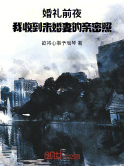 婚礼前夜，我收到未婚妻的照片在线阅读