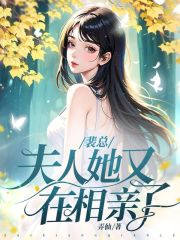 裴总，夫人她又在相亲了在线阅读