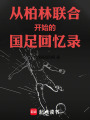 从柏林联合开始的国足回忆录最新章节在线阅读