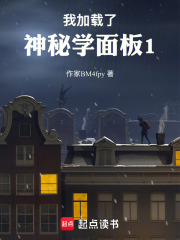我加载了神秘学面板1在线阅读