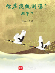 你在找规则吗？殿下？在线阅读