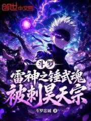 斗罗：雷神之锤武魂，被刺昊天宗
