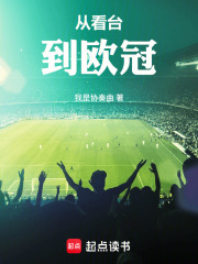 从看台到欧冠在线阅读