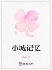 小城记忆在线阅读