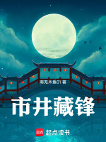 市井藏锋封面