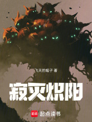 寂灭炽阳在线阅读