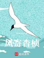 风寄杳桢在线阅读