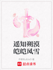 遥知朔漠皑皑风雪在线阅读