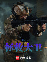 CS：拯救大卫寒王封面