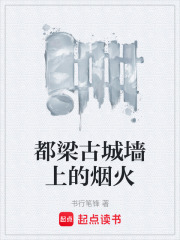 都梁古城墙上的烟火在线阅读