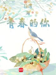 日落，海，青春的你在线阅读