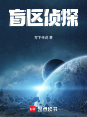 盲区侦探在线阅读