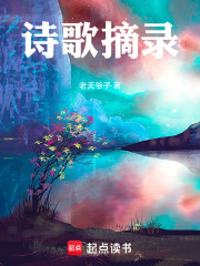 诗歌摘录在线阅读