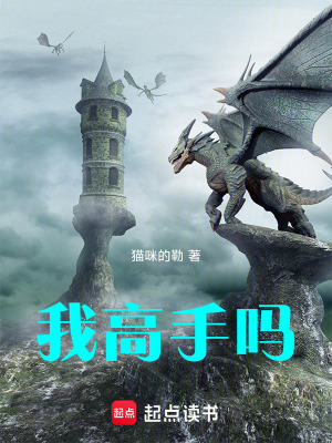 我高手吗 cover
