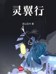 灵翼行在线阅读