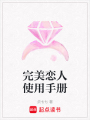 完美恋人使用手册