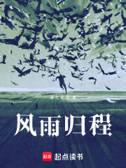 风雨归程在线阅读