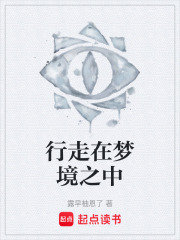 行走在梦境之中在线阅读
