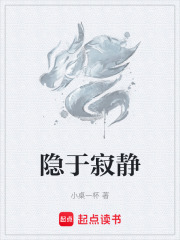 隐于寂静在线阅读