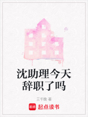 沈助理今天辞职了吗在线阅读