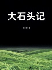 大石头记在线阅读