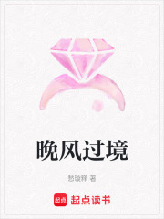 晚风过境在线阅读