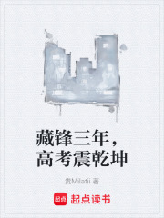 藏锋三年，高考震乾坤在线阅读