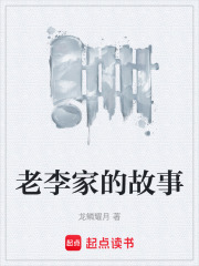 老李家的故事在线阅读