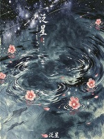 泛星封面