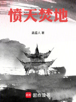 愤天焚地封面