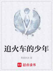 追火车的少年在线阅读