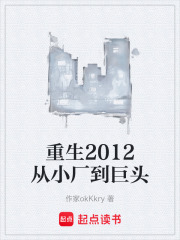 重生2012从小厂到巨头在线阅读