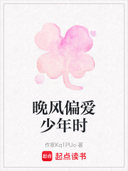 晚风偏爱少年时在线阅读