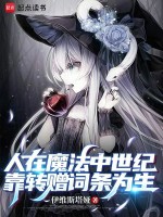 人在魔法中世纪，靠转赠词条为生封面