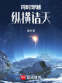 同时穿越，纵横诸天在线阅读
