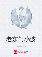 老东门小波在线阅读