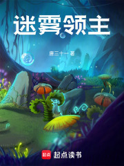 迷雾领主在线阅读