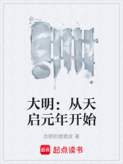 大明：从天启元年开始在线阅读