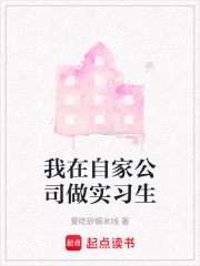 我在自家公司做实习生在线阅读