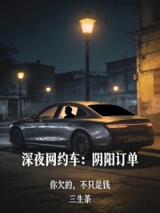 深夜网约车：阴阳订单在线阅读