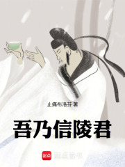 吾乃信陵君在线阅读