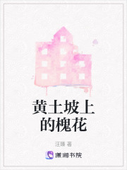 黄土坡上的槐花在线阅读