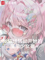 从磁场转动开始的魔法少女番！在线阅读