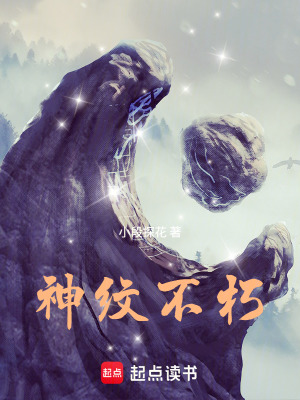 神纹不朽封面