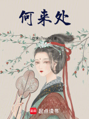 何来处在线阅读