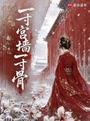 一寸宫墙一寸骨在线阅读